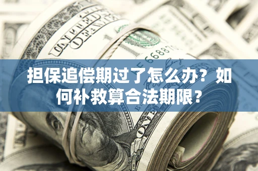 北京担保追偿期过了怎么办？如何补救算合法期限？