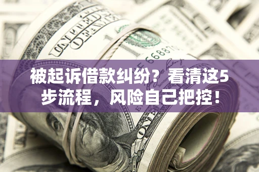 北京被起诉借款纠纷？看清这5步流程，风险自己把控！